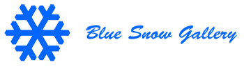 BlueSnowGallery logo